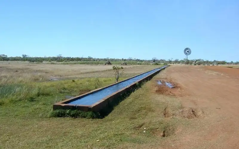 Abrevadero alargado en un campo seco